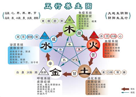 属木的工作|五行与职业的划分（最新版）五行属木的职业有哪些